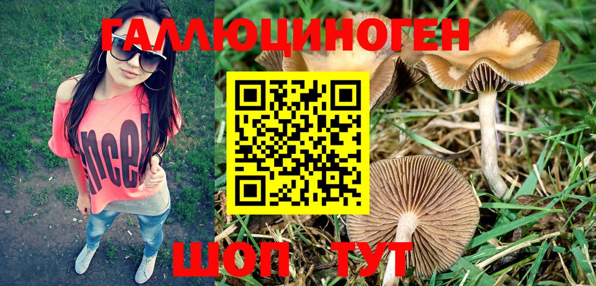 Галлюциногенные грибы Cubensis Котлас