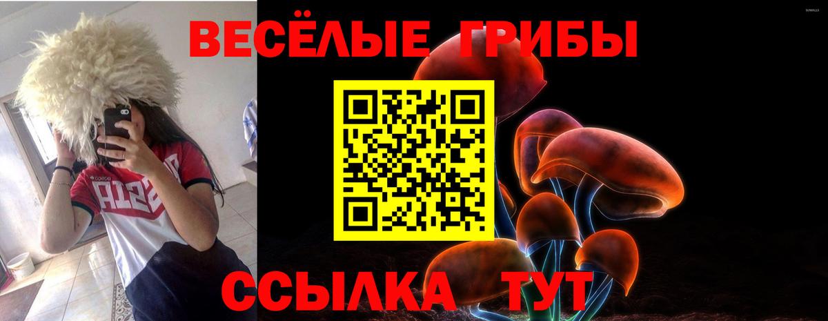 Котлас  Псилоцибиновые грибы MAGIC MUSHROOMS  Вход с VPN 